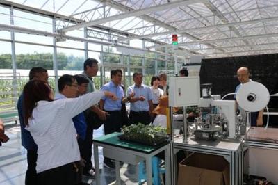 技術賦能特色產(chǎn)業(yè) 山東省農(nóng)業(yè)技術推廣中心助力曲堤黃瓜菜農(nóng)增收