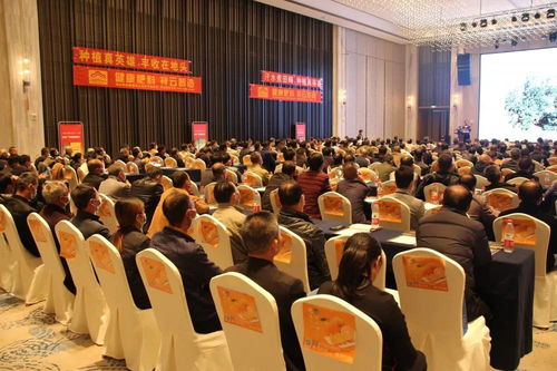 祥云杯臍橙英雄 軟件設計賦能種植真英雄，技術培訓提升品牌影響力